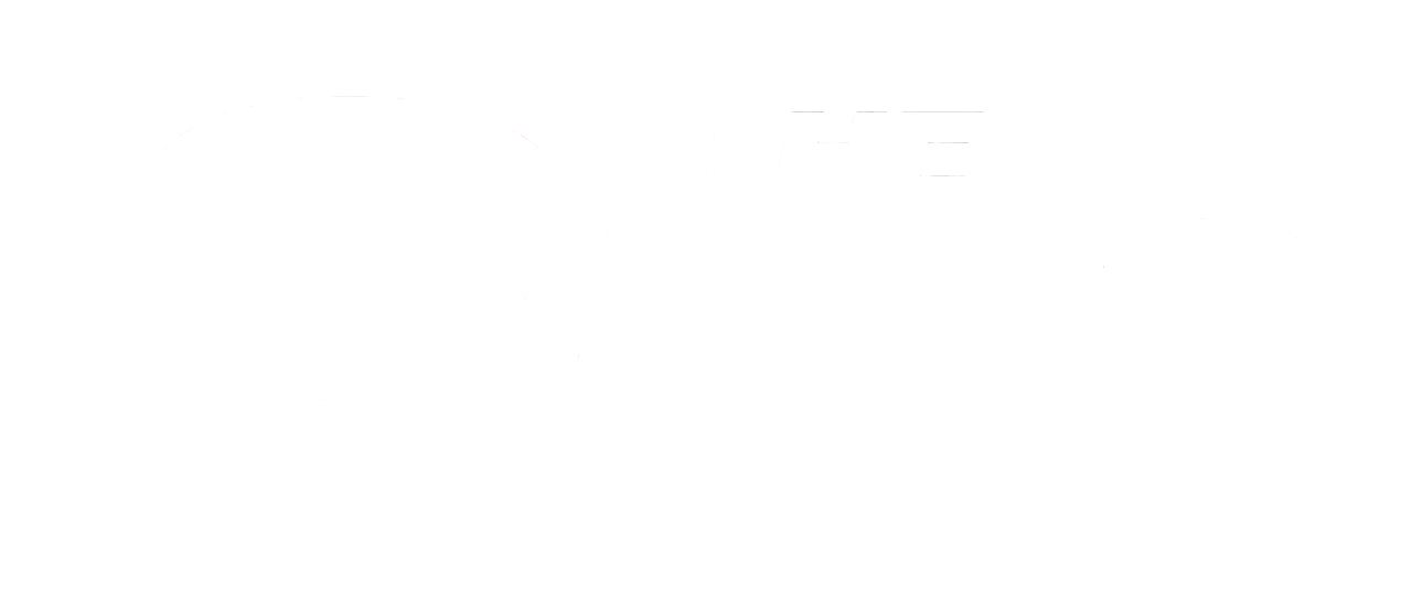 The Irish Sun